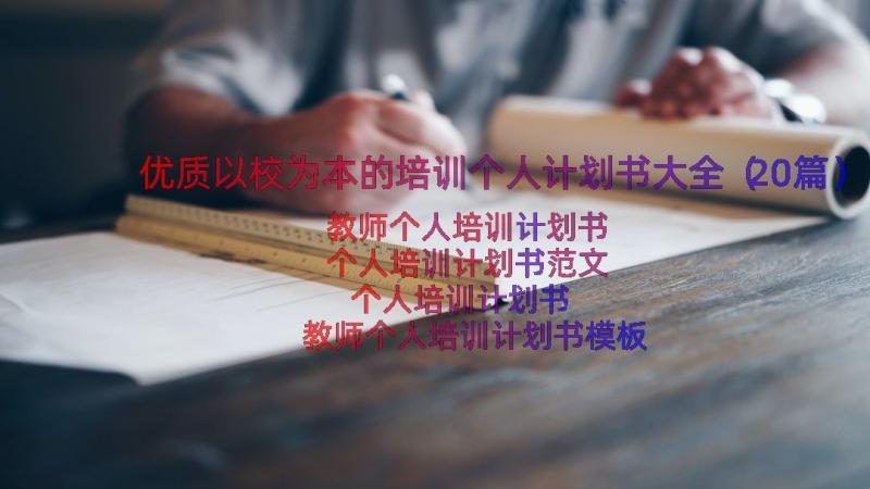 优质以校为本的培训个人计划书大全（20篇）