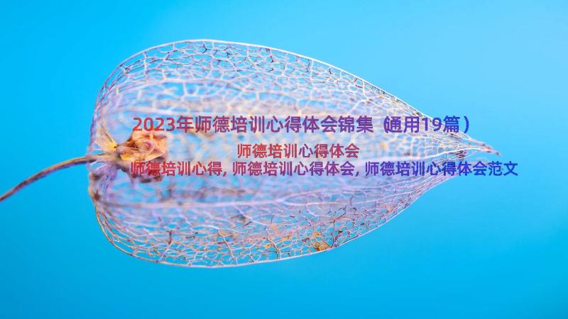 2023年师德培训心得体会锦集（通用19篇）