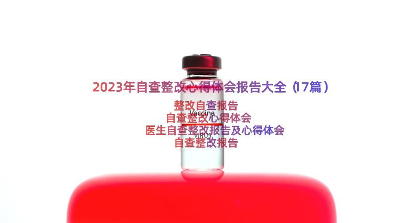 2023年自查整改心得体会报告大全（17篇）