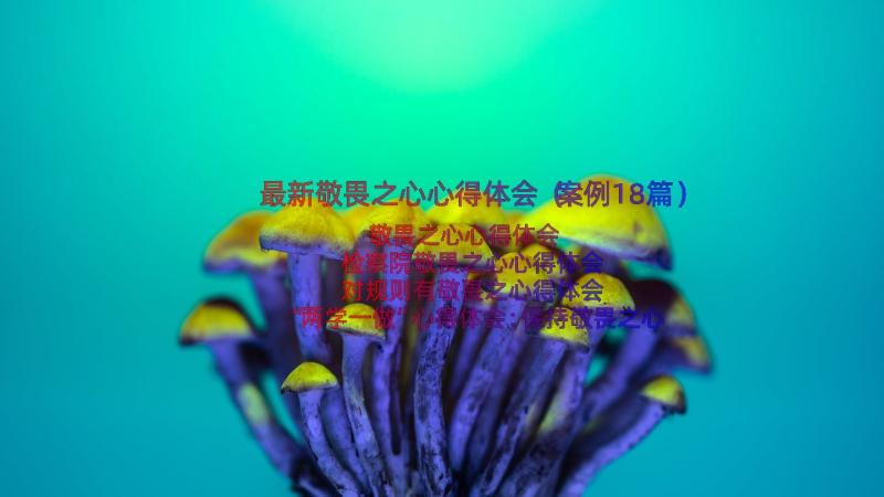 最新敬畏之心心得体会（案例18篇）