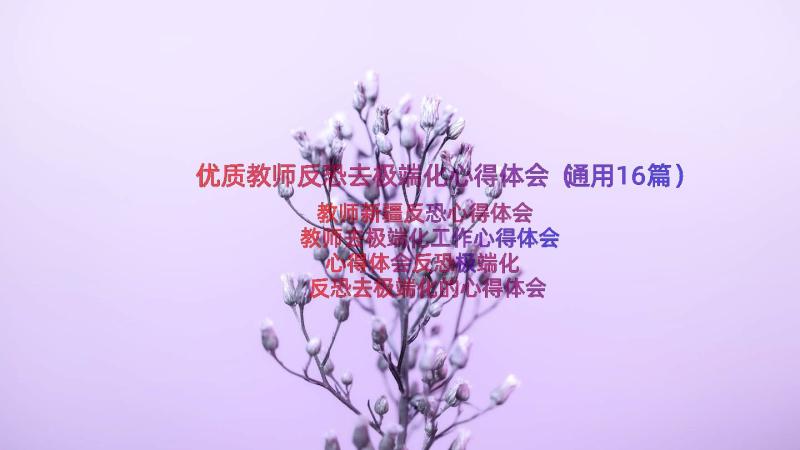 优质教师反恐去极端化心得体会（通用16篇）