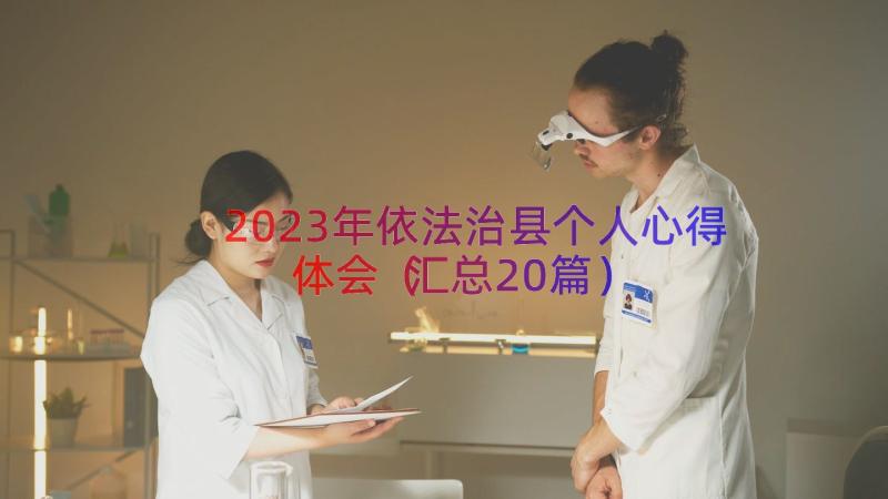 2023年依法治县个人心得体会（汇总20篇）