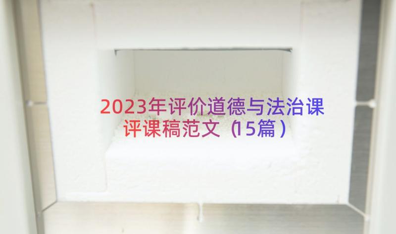 2023年评价道德与法治课评课稿范文（15篇）