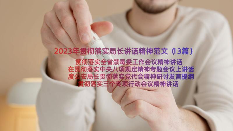 2023年贯彻落实局长讲话精神范文（13篇）