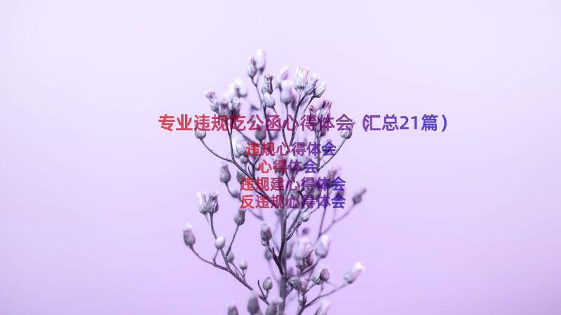 专业违规吃公函心得体会（汇总21篇）