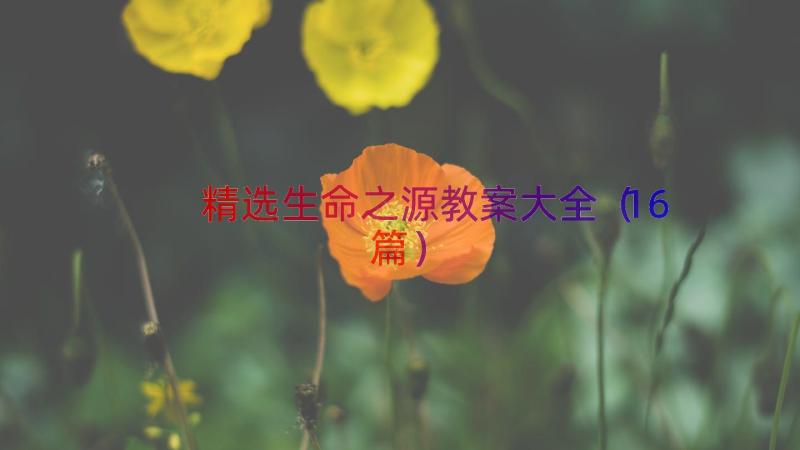 精选生命之源教案大全（16篇）