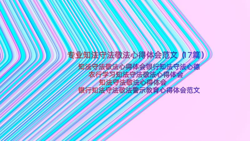 专业知法守法敬法心得体会范文（17篇）