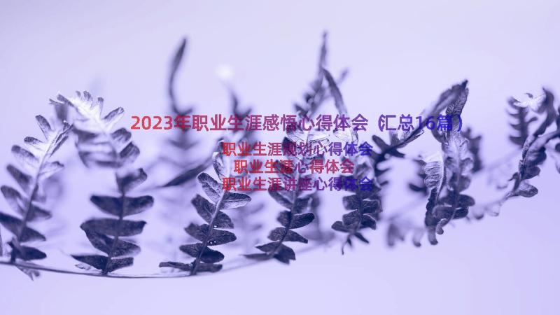 2023年职业生涯感悟心得体会（汇总16篇）