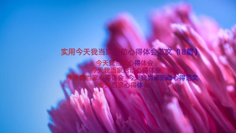 实用今天我当家活动心得体会范文（18篇）