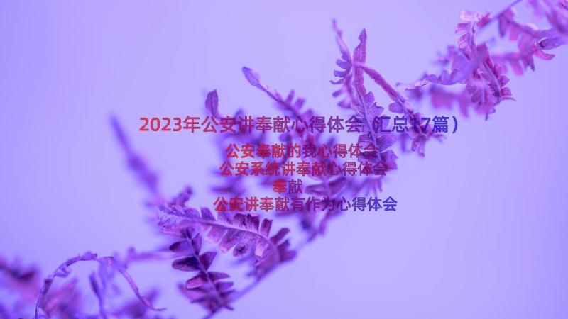 2023年公安讲奉献心得体会（汇总17篇）