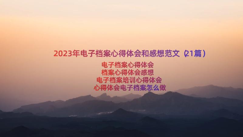 2023年电子档案心得体会和感想范文（21篇）