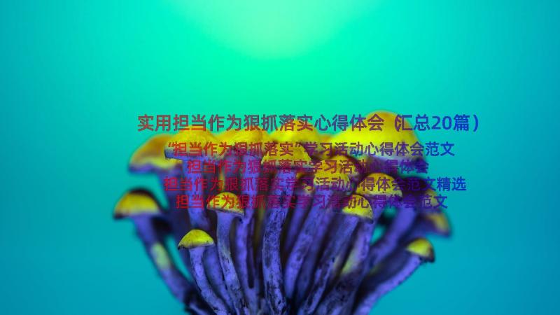 实用担当作为狠抓落实心得体会（汇总20篇）