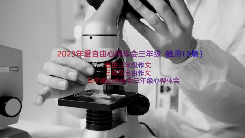 2023年爱自由心得体会三年级（通用18篇）