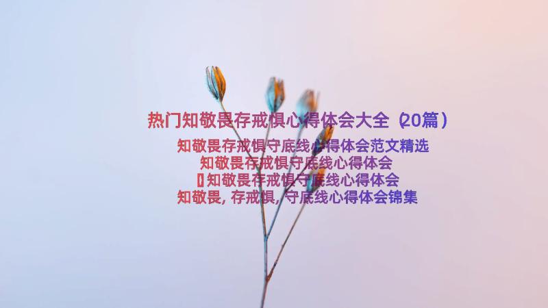 热门知敬畏存戒惧心得体会大全（20篇）