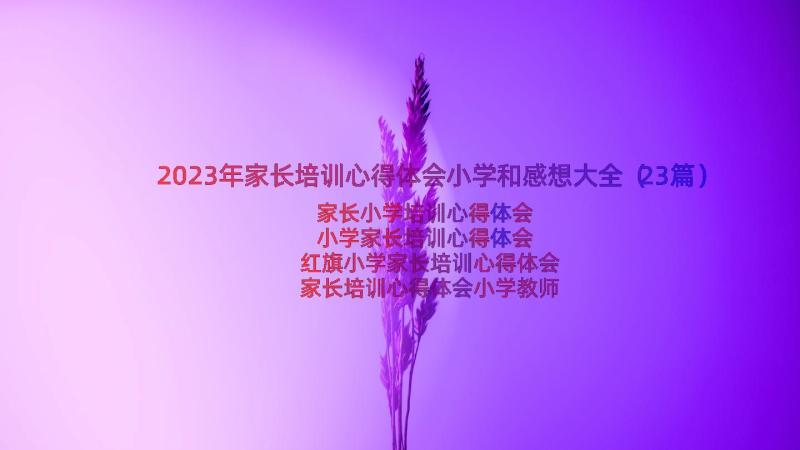 2023年家长培训心得体会小学和感想大全（23篇）