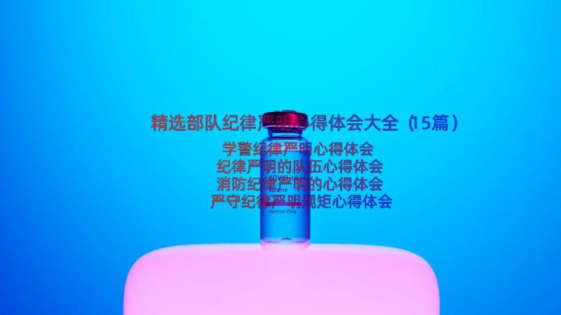 精选部队纪律严明心得体会大全（15篇）