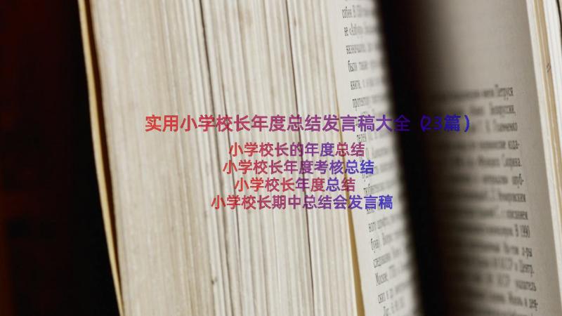 实用小学校长年度总结发言稿大全（23篇）