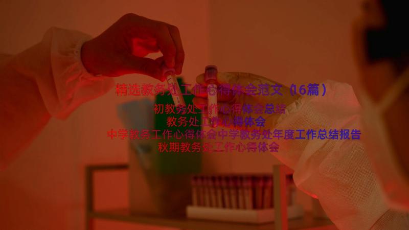 精选教务处工作心得体会范文（16篇）