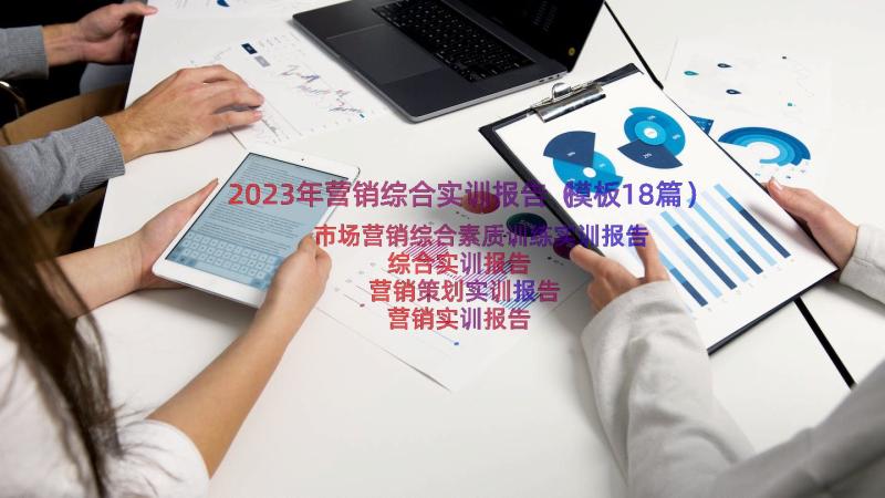 2023年营销综合实训报告（模板18篇）