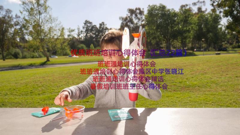 优质班班培训心得体会（汇总22篇）