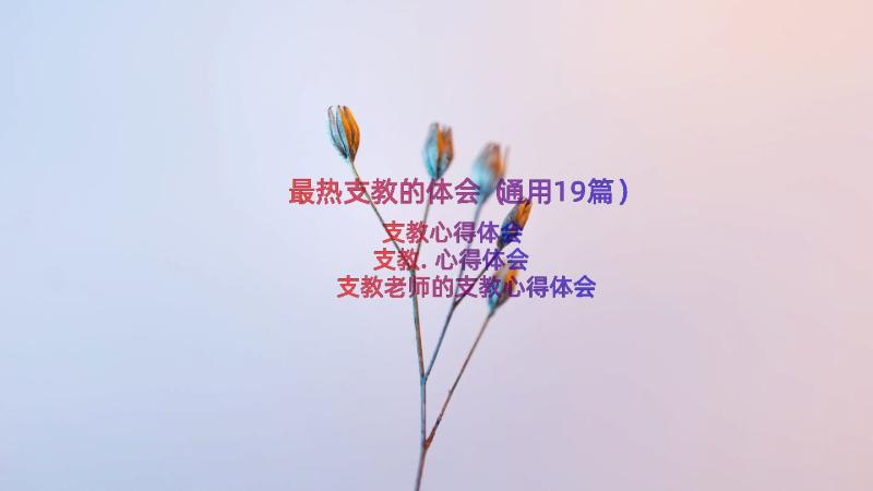 最热支教的体会（通用19篇）