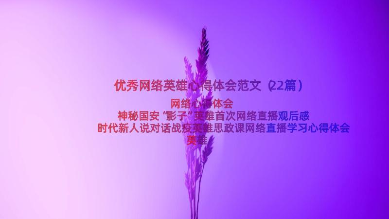 优秀网络英雄心得体会范文（22篇）