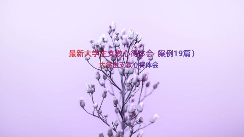 最新大学生支教心得体会（案例19篇）