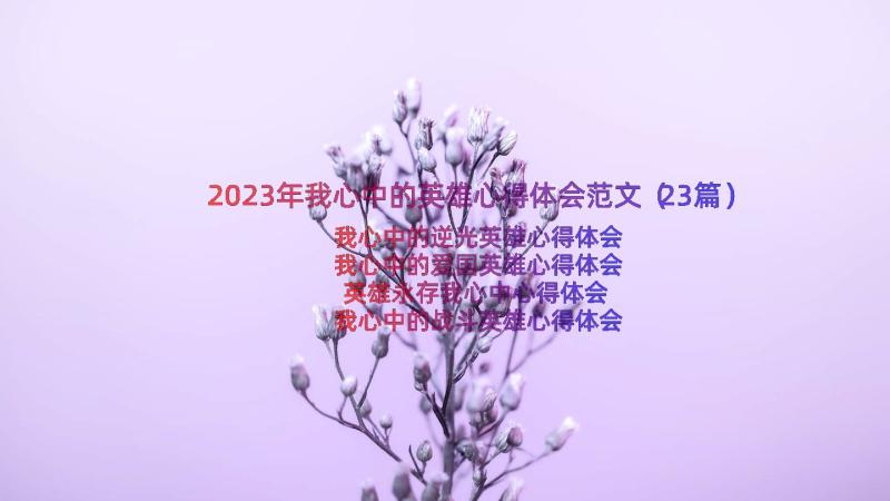 2023年我心中的英雄心得体会范文（23篇）