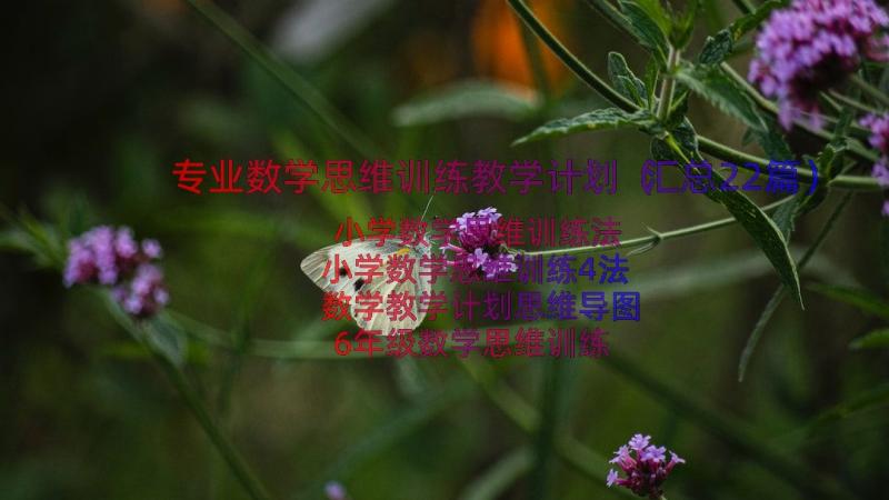 专业数学思维训练教学计划（汇总22篇）