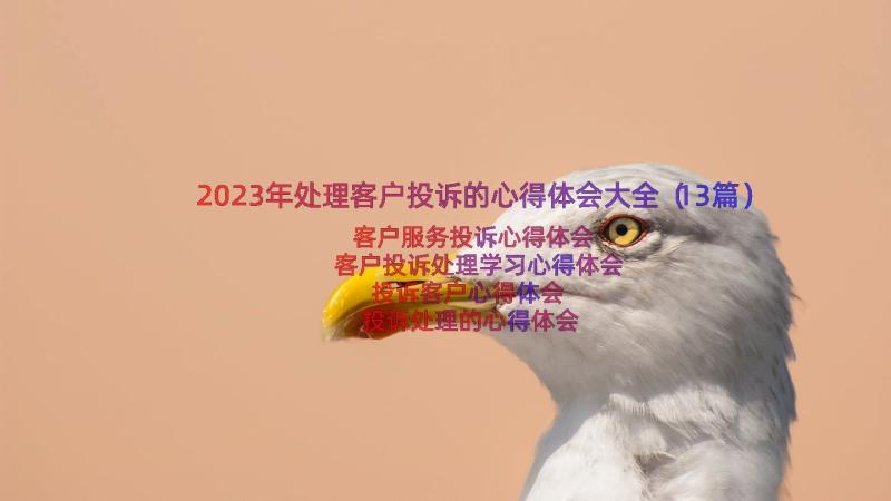 2023年处理客户投诉的心得体会大全（13篇）