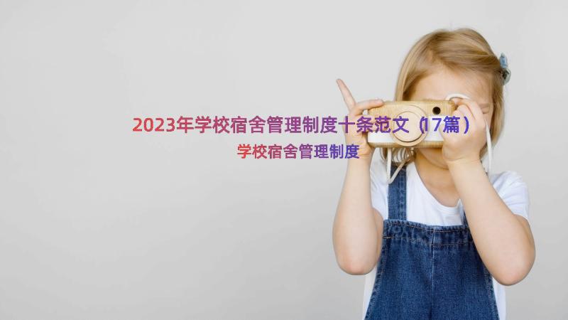 2023年学校宿舍管理制度十条范文（17篇）