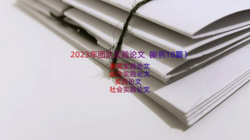 2023年团队实践论文（案例18篇）