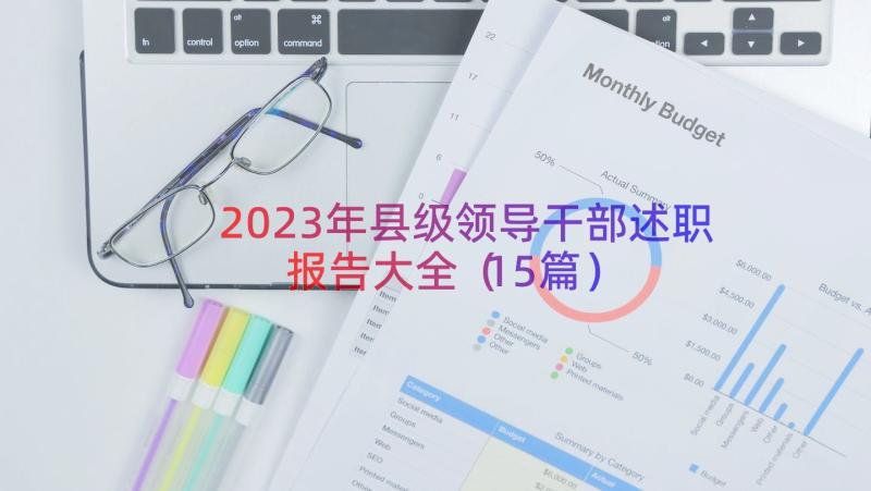 2023年县级领导干部述职报告大全（15篇）