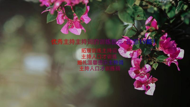 优秀主持主持词的训练提示（汇总19篇）