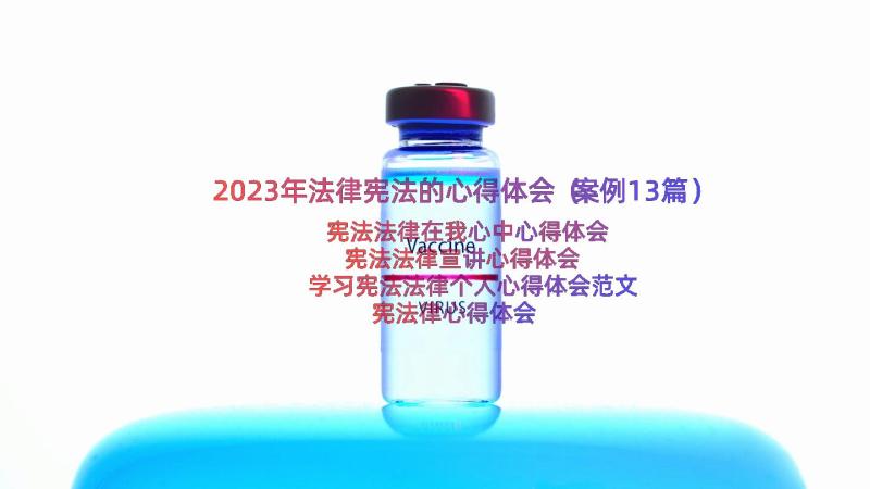 2023年法律宪法的心得体会（案例13篇）