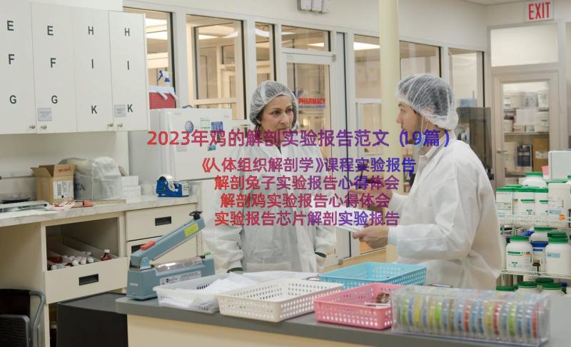 2023年鸡的解剖实验报告范文（19篇）