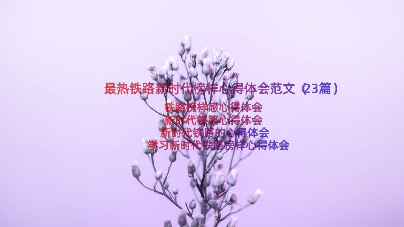 最热铁路新时代榜样心得体会范文（23篇）