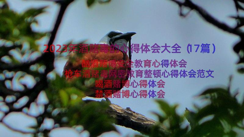 2023年酒赌毒的心得体会大全（17篇）