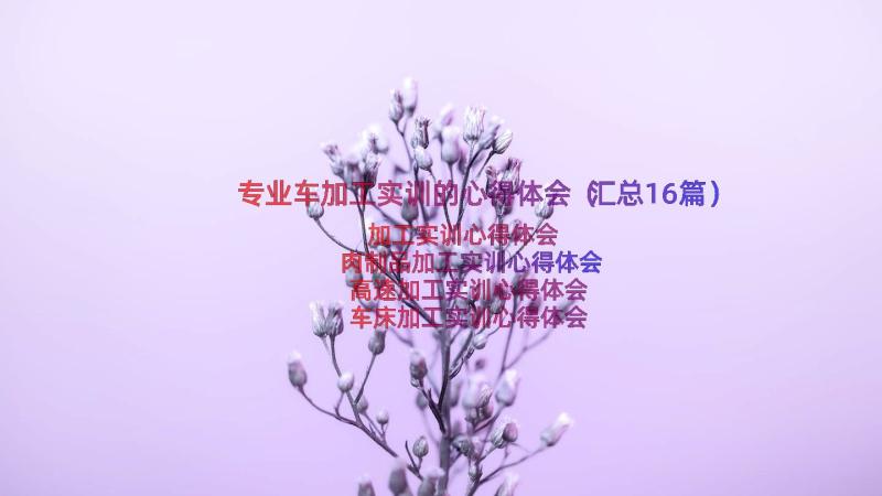 专业车加工实训的心得体会（汇总16篇）