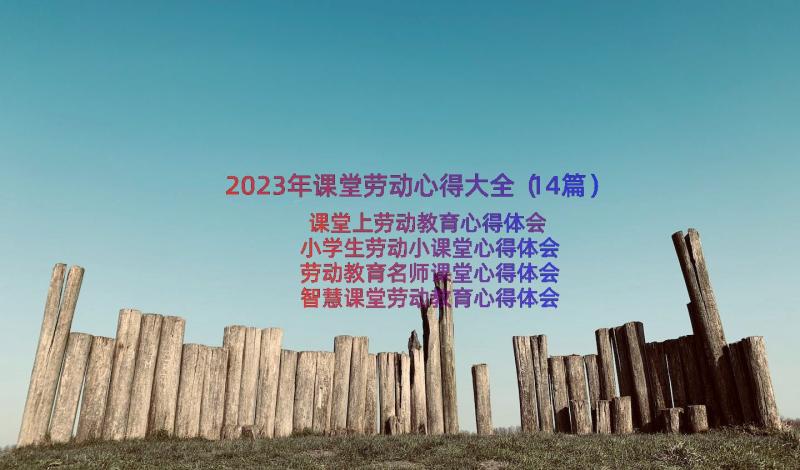 2023年课堂劳动心得大全（14篇）