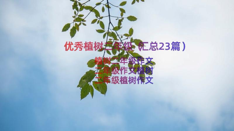 优秀植树二年级（汇总23篇）