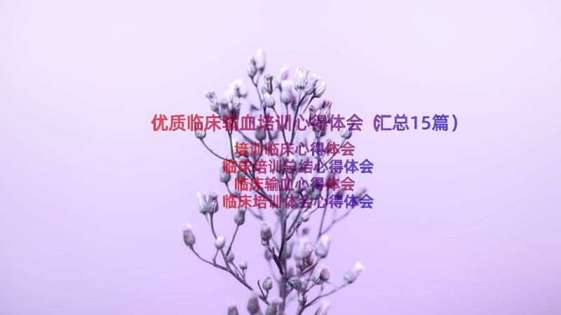 优质临床输血培训心得体会（汇总15篇）