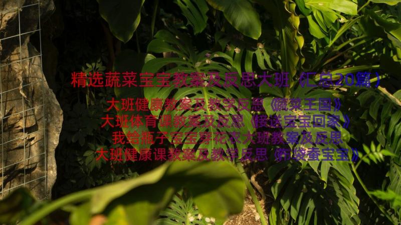 精选蔬菜宝宝教案及反思大班（汇总20篇）