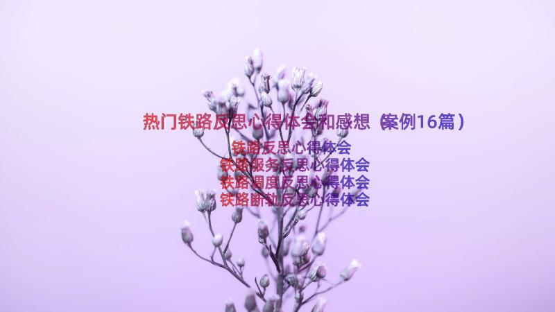 热门铁路反思心得体会和感想（案例16篇）