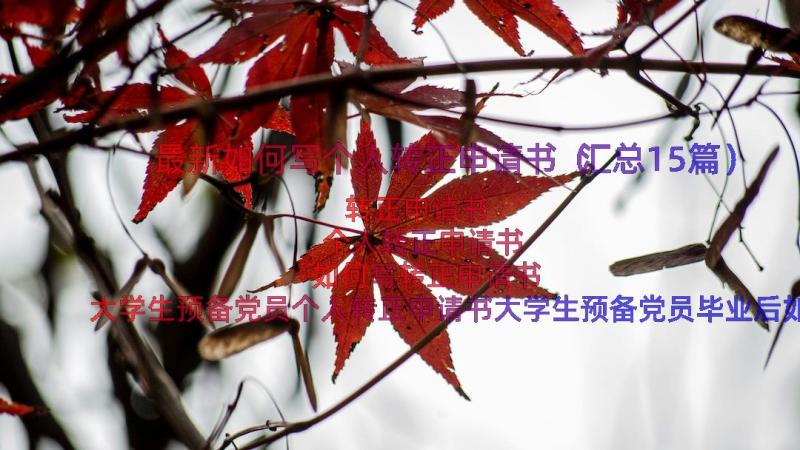 最新如何写个人转正申请书（汇总15篇）