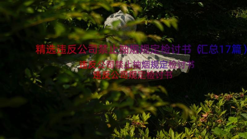 精选违反公司禁止抽烟规定检讨书（汇总17篇）