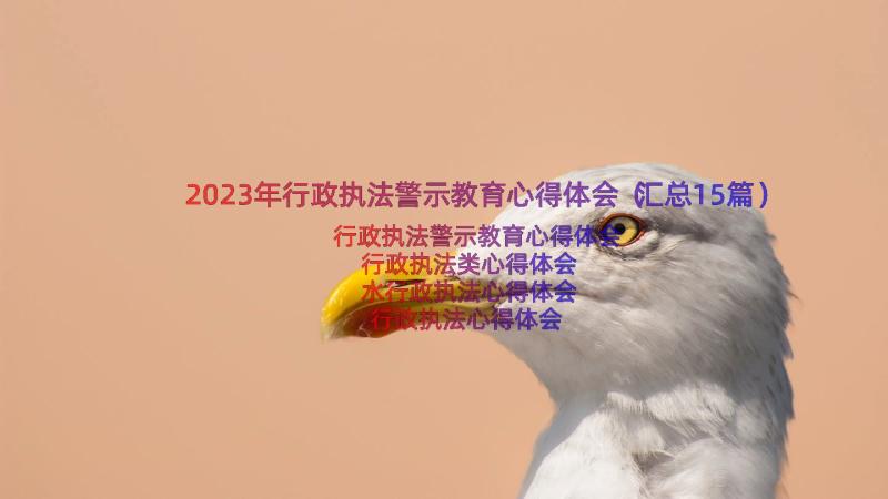 2023年行政执法警示教育心得体会（汇总15篇）