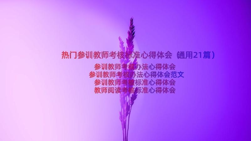 热门参训教师考核标准心得体会（通用21篇）