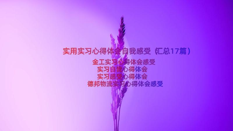 实用实习心得体会自我感受（汇总17篇）