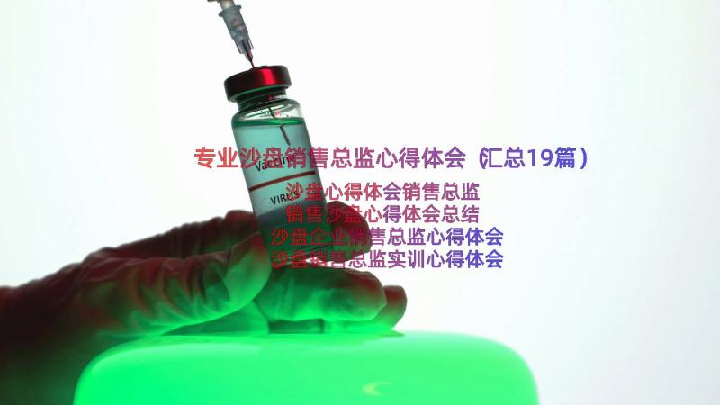 专业沙盘销售总监心得体会（汇总19篇）